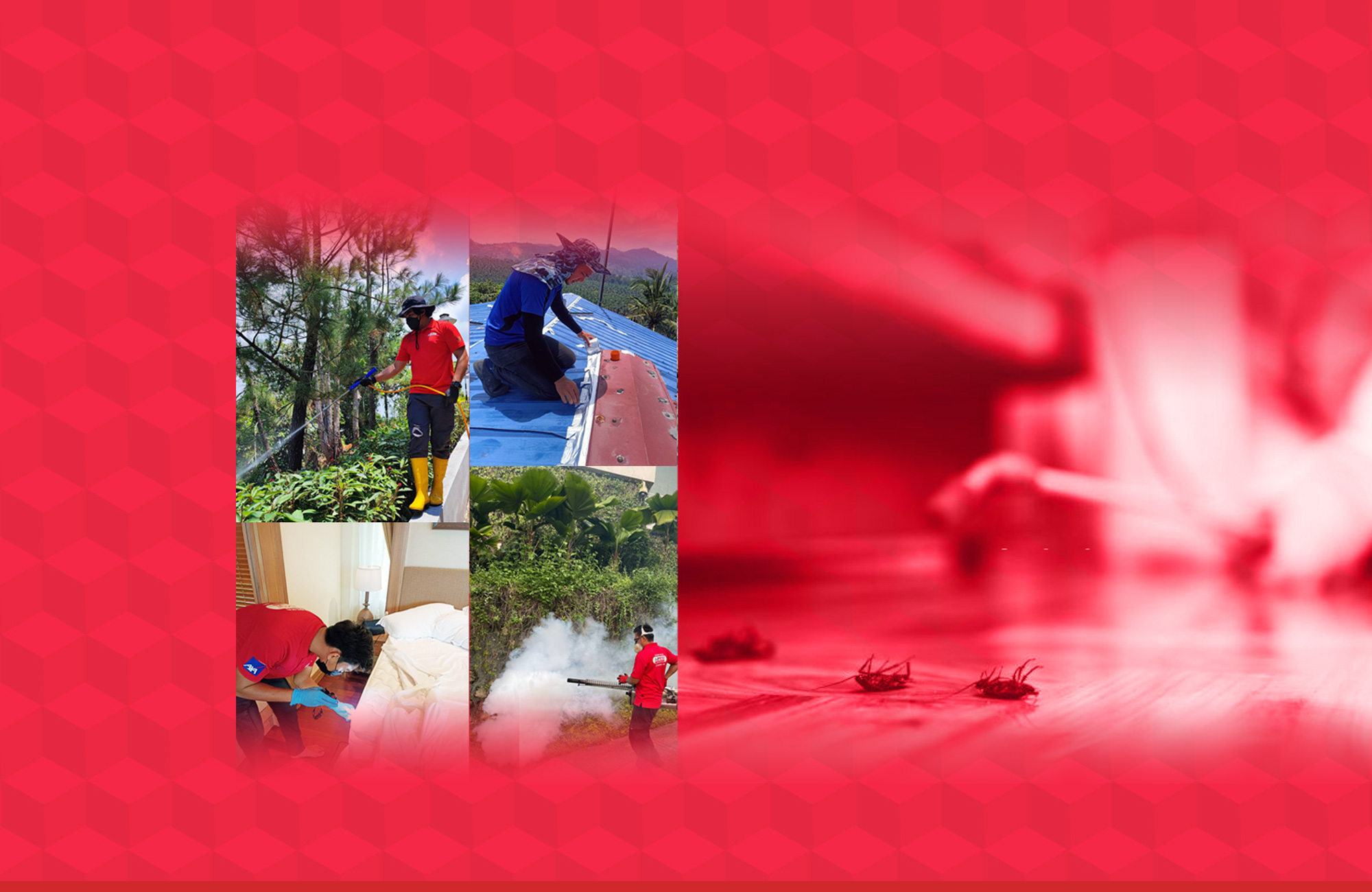 Slide background