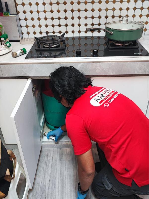 General Pest Control