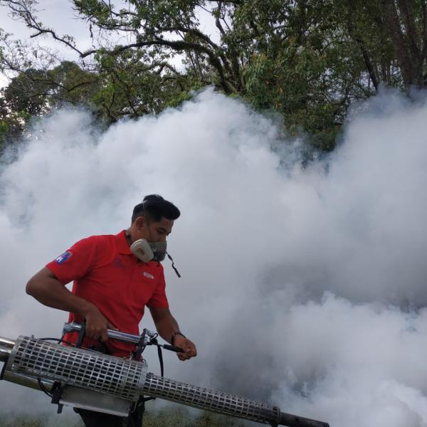 Mosquito Treatment
