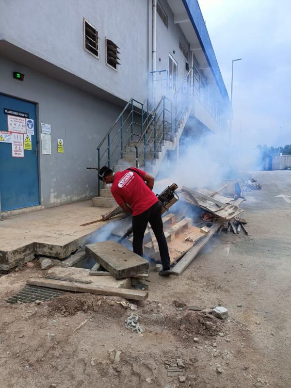 Mosquito Treatment